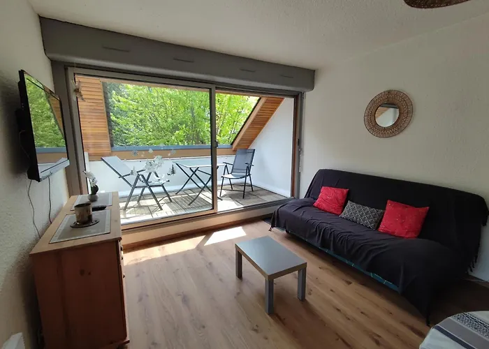 T2 spacieux et lumineux avec 2 terrasses Sud et Est, proche centre village