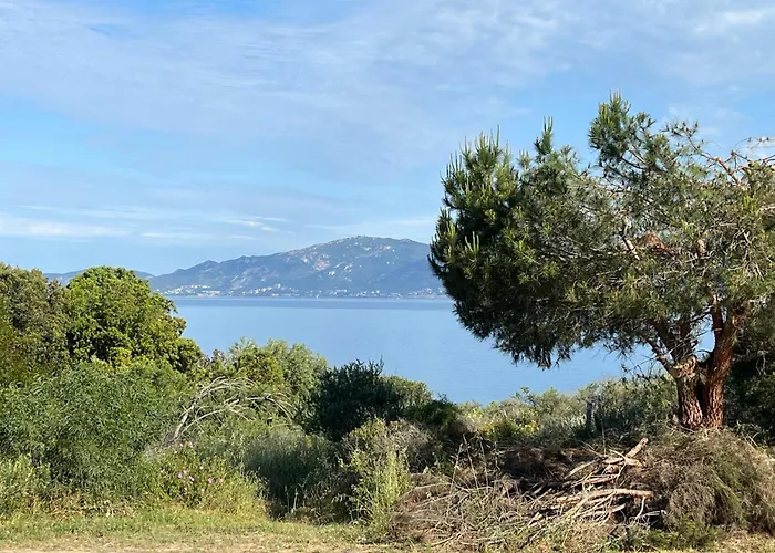 Loc A Machja Fiurita 3 Appartements - Pietrosella Et Ajaccio