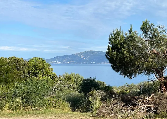 Loc A Machja Fiurita 3 Appartements - Pietrosella Et Ajaccio