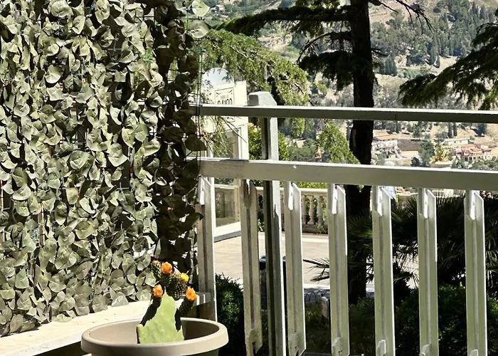 Doctor House Standard, Suites & Luxury Rooms