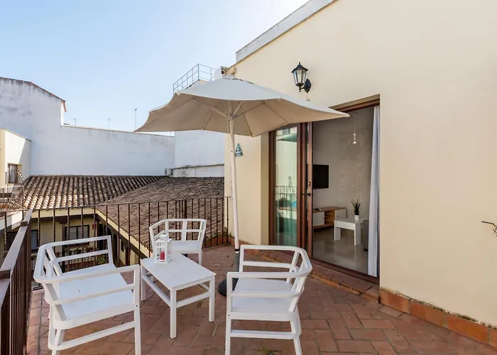 Perros hoteles Del Sur