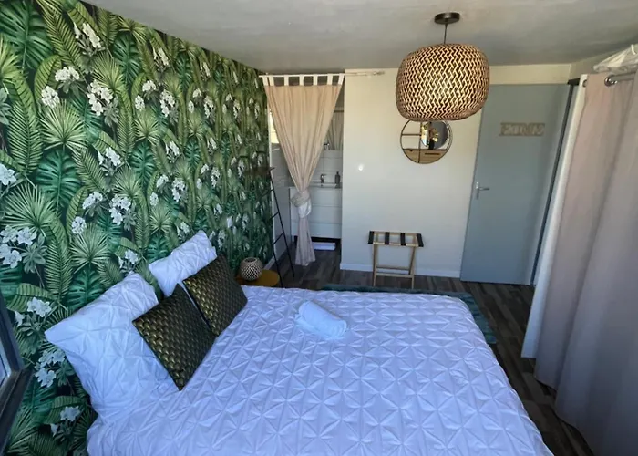 A louer appartement t2