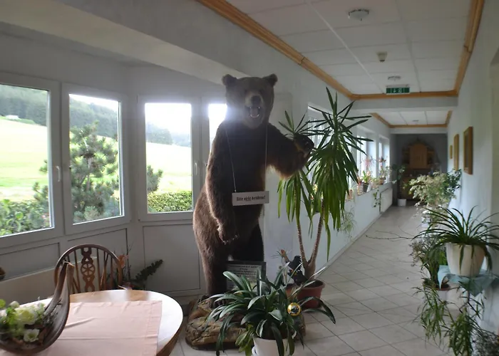 3-Sterne-Hotel: Landhotel Gasthof Wüllner