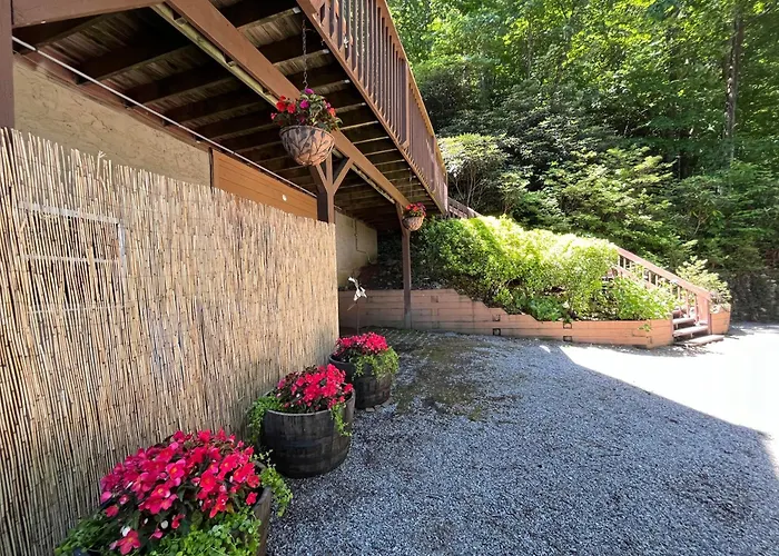 Top Of The Line Asheville Mountain Cabin