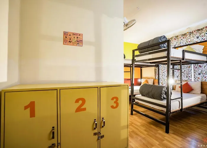 Hostel: Zostel Srinagar