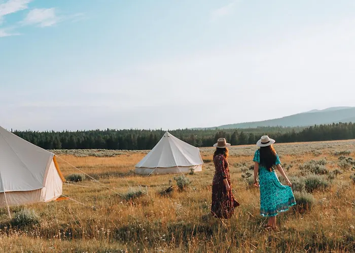 Pet Friendly hotel: Wander Camp Yellowstone