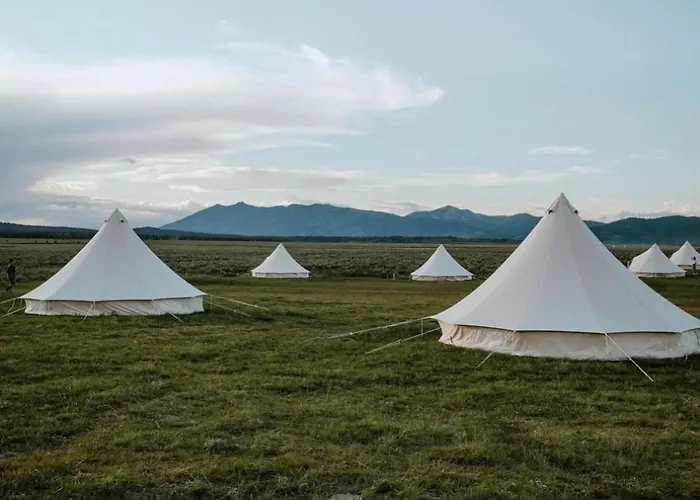 Pet Friendly hotel: Wander Camp Yellowstone