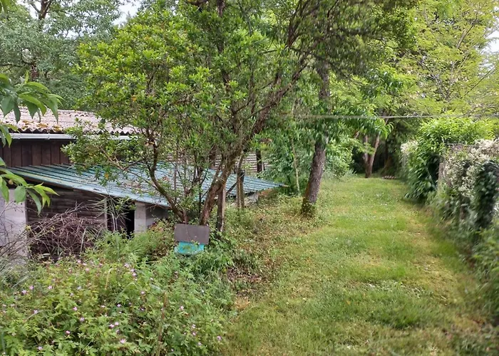 La petite maison des écureuils