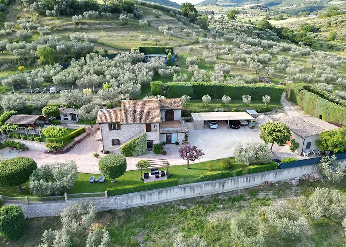 La Casa Tra Gli Ulivi