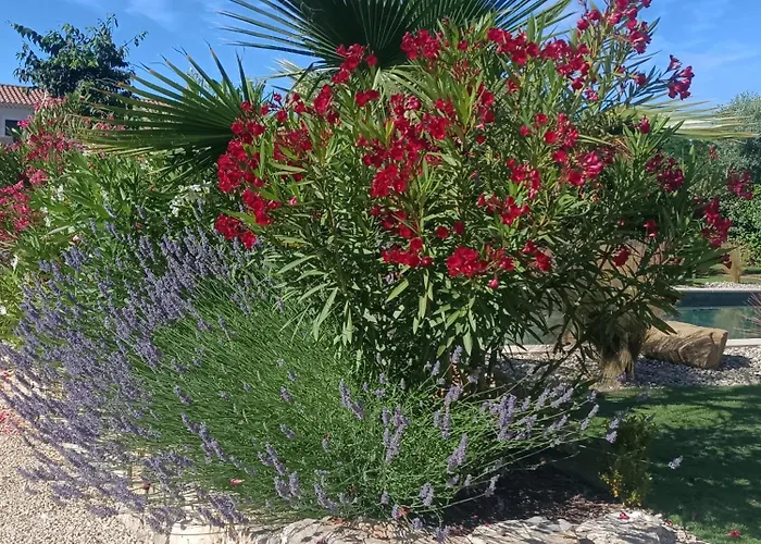 Douce Provence Magnifique appartement neuf avec jardin proche du centre ville