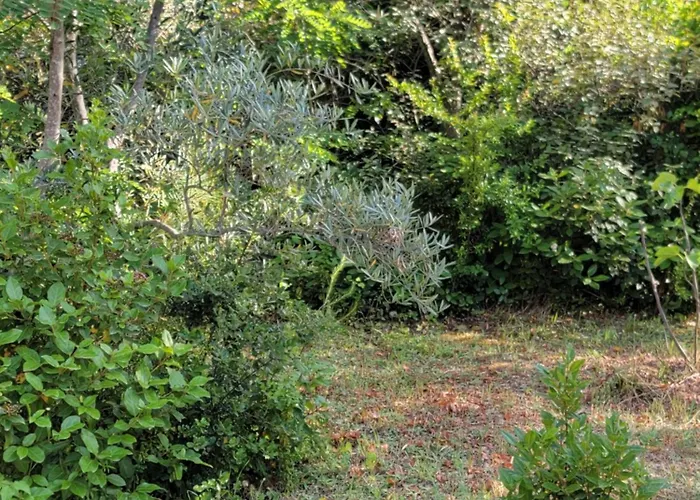 Maison T4, campagne Provençale calme, tout confort