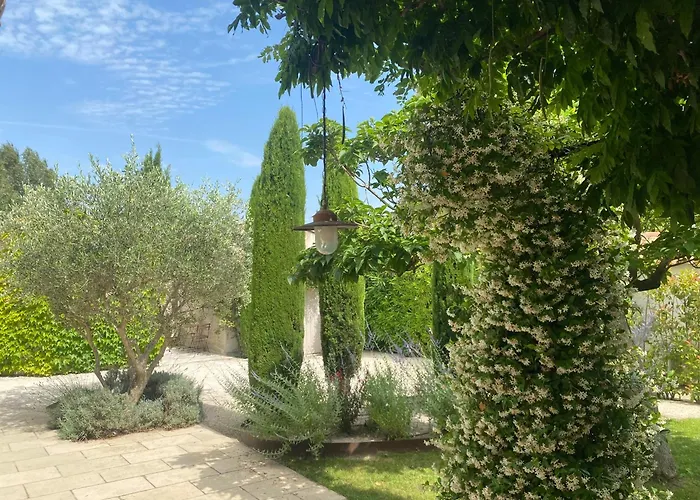 Le Mas du Chemin : mas typique des Alpilles