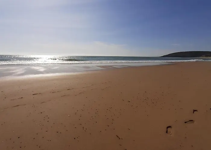 Crevette rose à 100m de la plage de sable de Surtainville