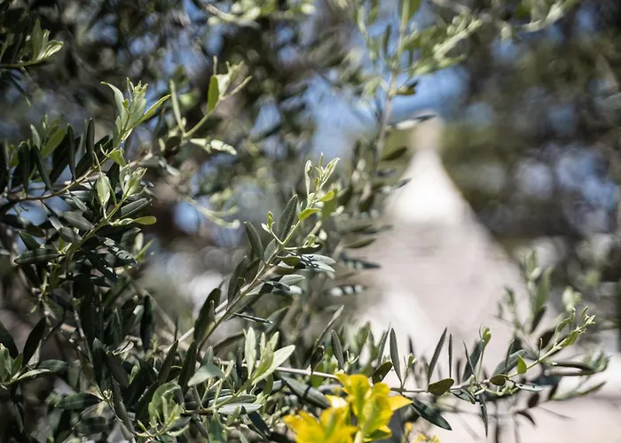 Casa vacanze: Trullo Leone