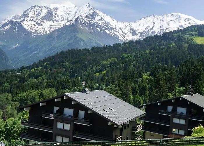 Studio cabine Au Loup Blanc avec vue Mont Blanc