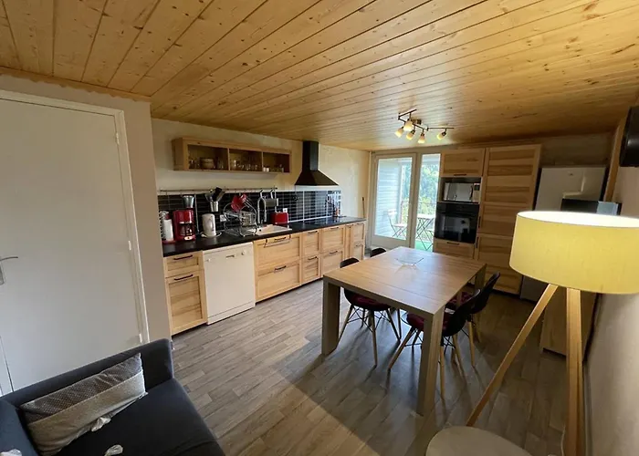 Chaleureux duplex avec balcon près des pistes - FR-1-787-16