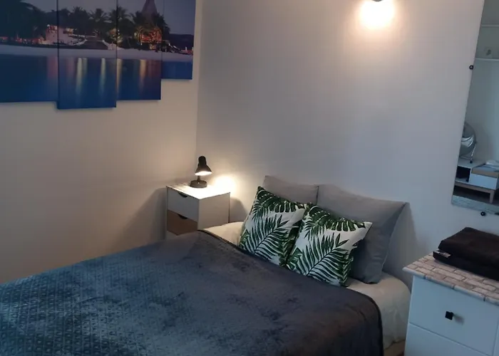 Cosy