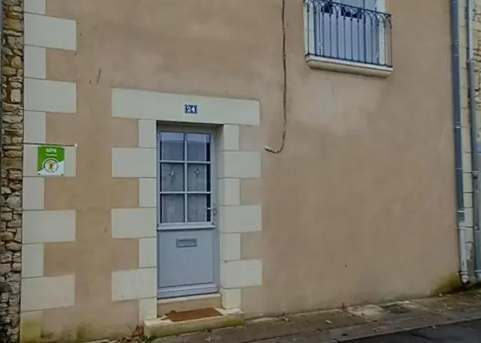 Gîte tout inclus avec jardin privatif, proche centre Richelieu et châteaux de la Loire - FR-1-381-565