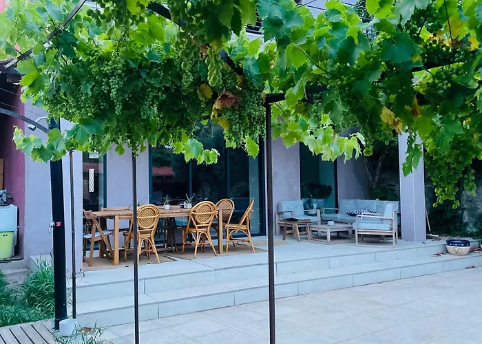 Chai et cuve à vin de 1907 en villa