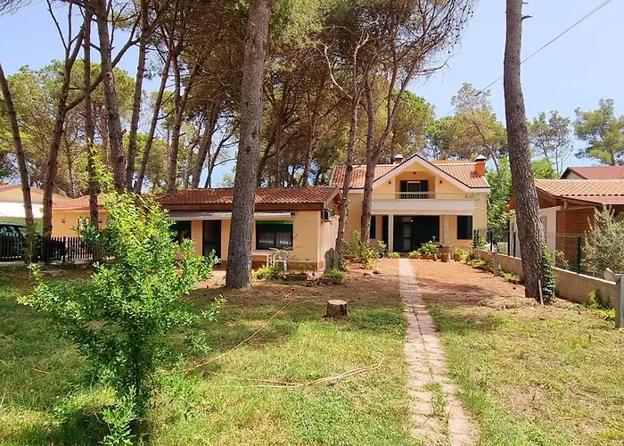 Bezhani Standard Villa