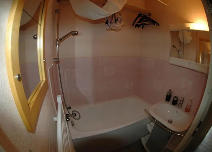 Spacieux studio Pré de chartreuse 2