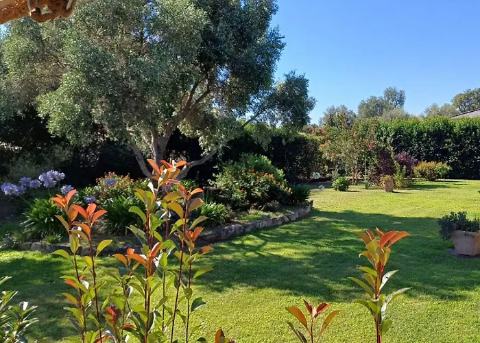 Le jardin de Domi