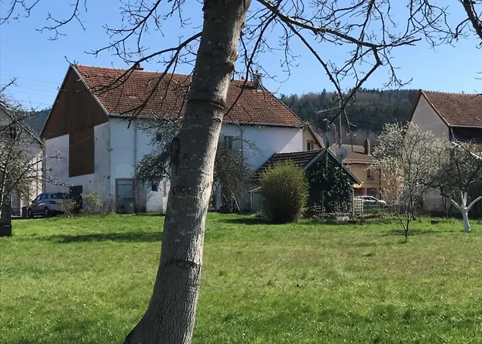Domaine La Bonne Dame - Merle, au coeur des Vosges