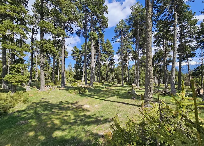 Les Chalets Secrets-Font Romeu