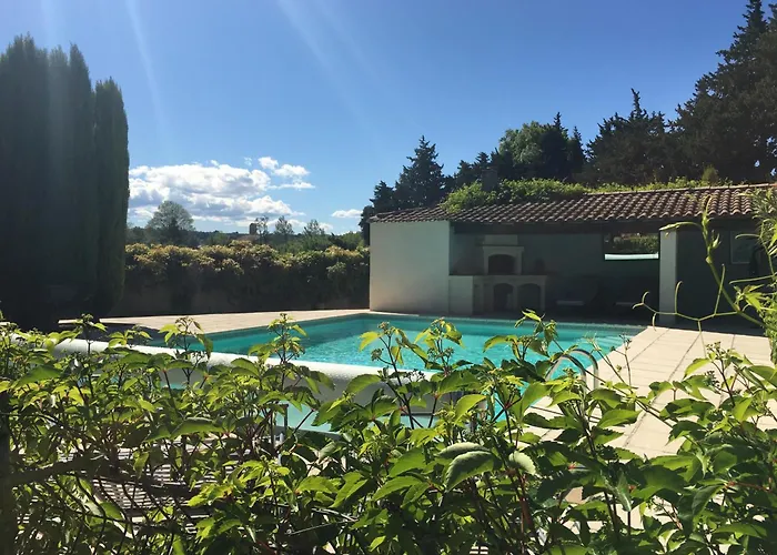 The Garden View