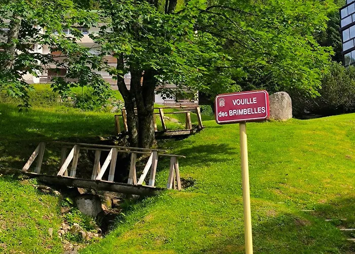 la bulle des sapins