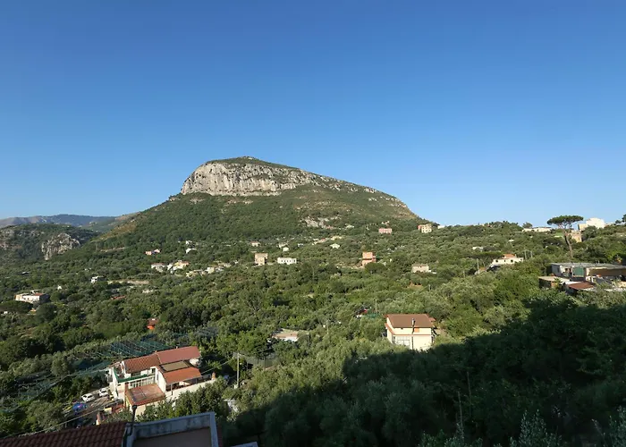 Hotel familiare: Hotel Royal Hills