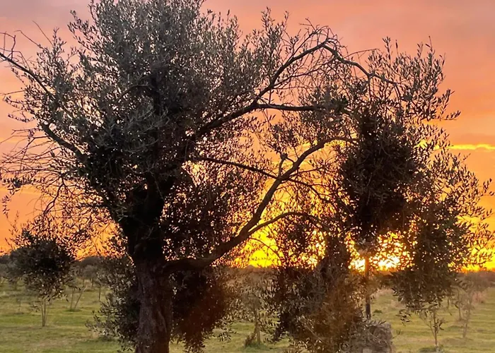 Agriturismo Le Paesane