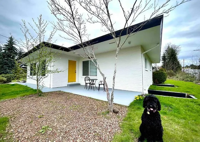 Colochas Home A Forest Haven