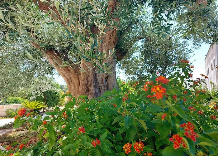 Casale Marangi