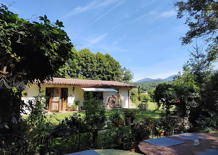 Hotel adatto agli animali: Guest House La Palazzina