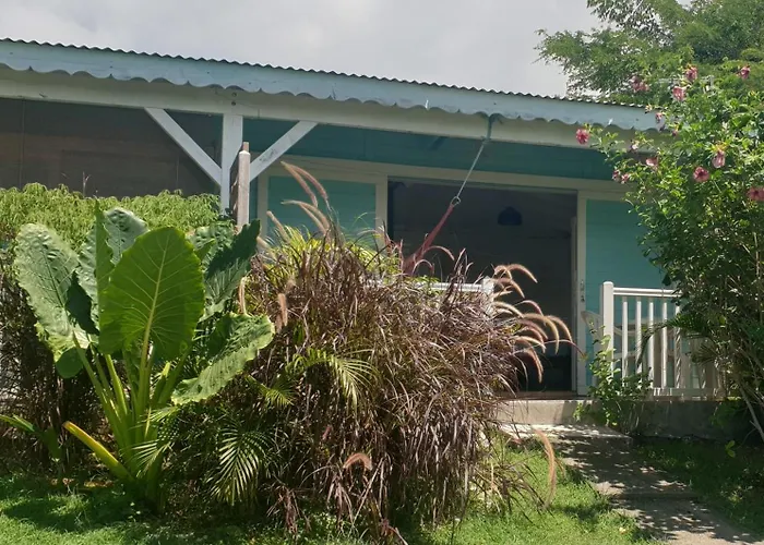 Bungalow Cocodile