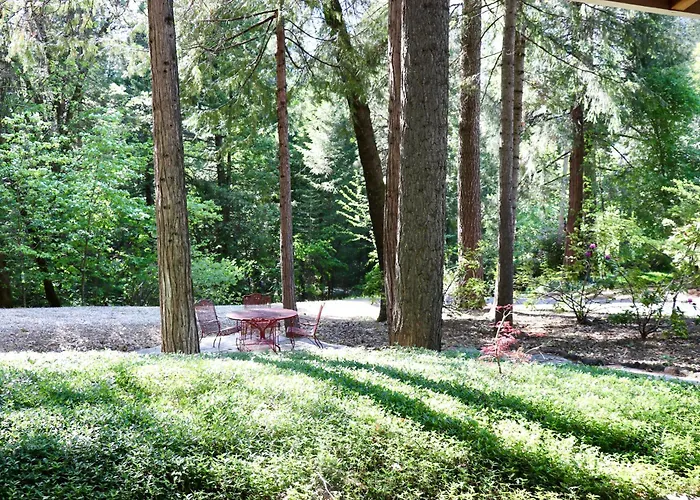 Lux, Designer 8-Acre Retreat With Private Creek