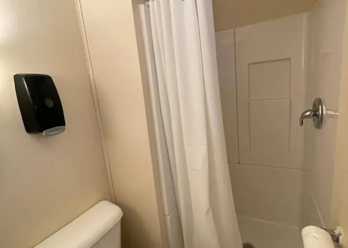 Magnolia Apt 1