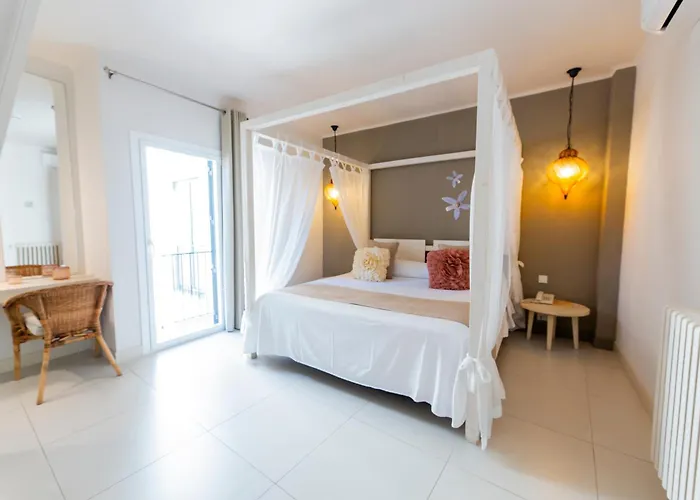 Hôtel accueillant les animaux: Hotel Tarongeta - Adults Only