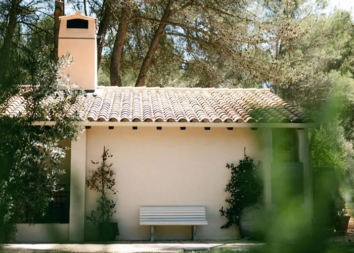 Mas Frederi - Maison avec piscine pour 10