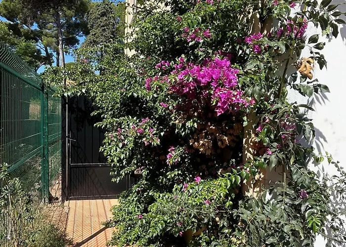 Villa les Lys 2