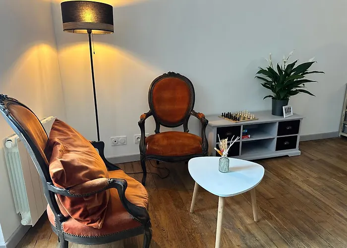 Superbe appartement confort entre terre et mer plein centre-ville
