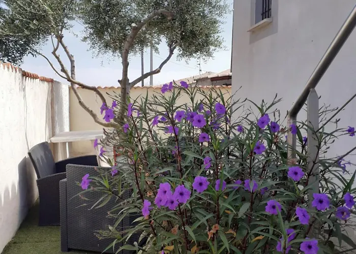 La petite maison au bord du canal T2 - 3étoiles -