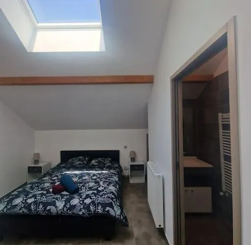 Superbe T2 duplex vue sur les montagnes