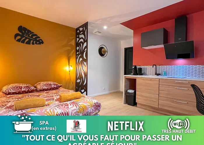 LA FEUILLERAIE N1-Standingappart-Wifi-proche ville