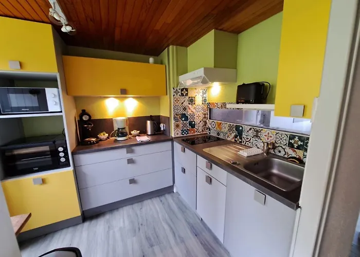 Appartement duplex avec vue sur le Sancy et garage couvert