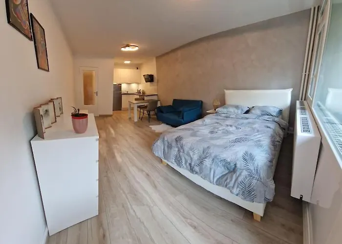Charming New Appartment Near Geneva