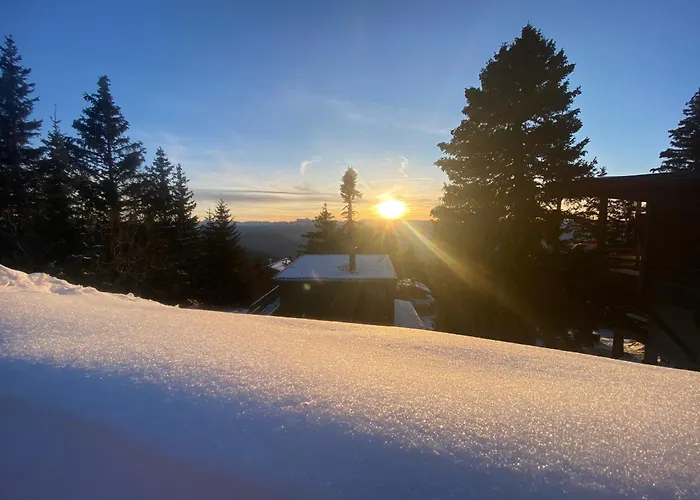 Les Balcons d'Edelweiss