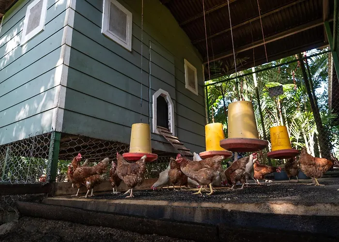 Hotel Boutique Casa Del Rio