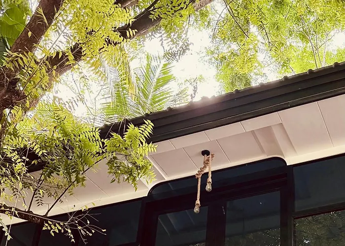 Family Hotel: Monkey Business Siquijor